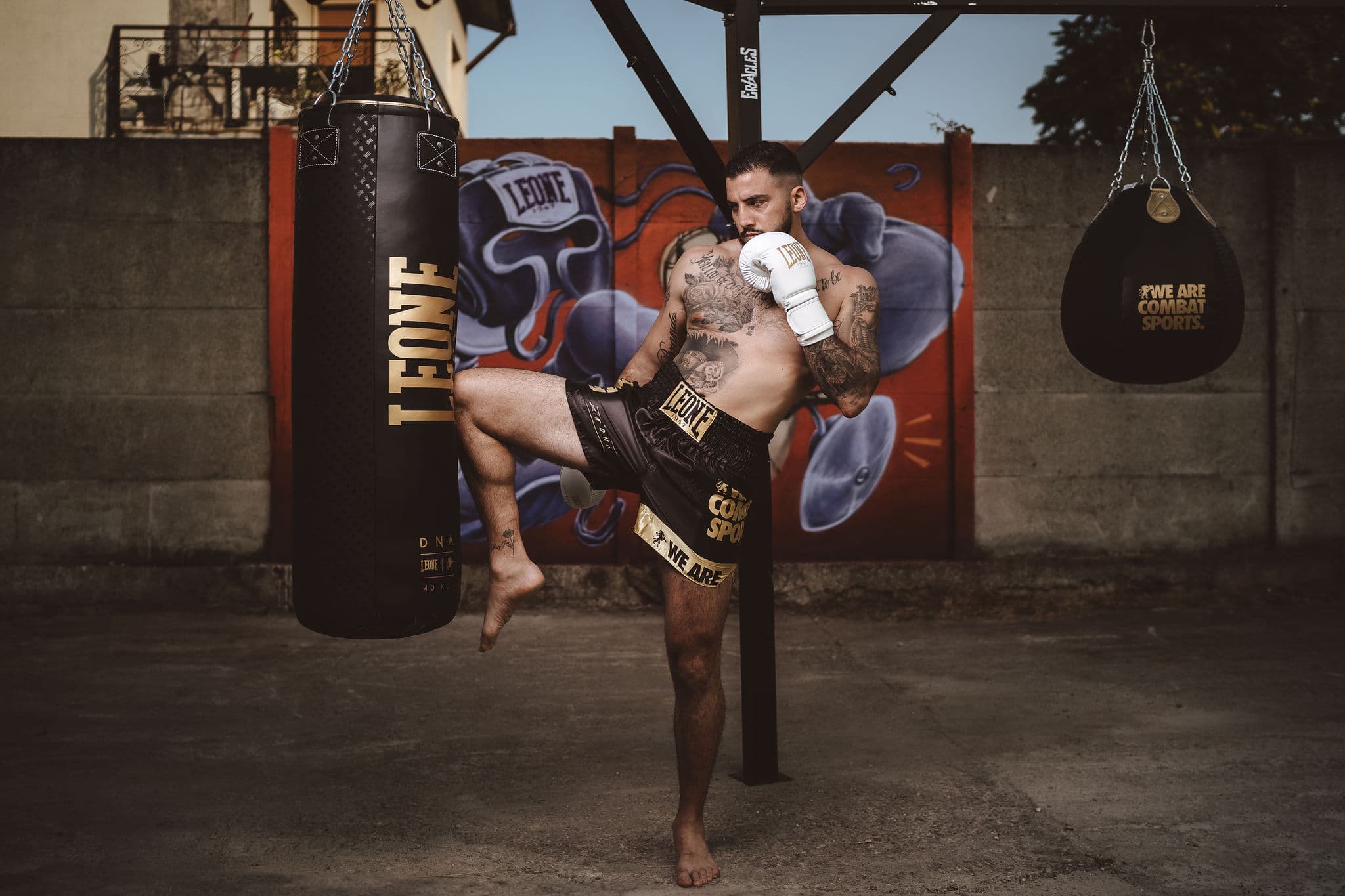 Leone 1947 Background